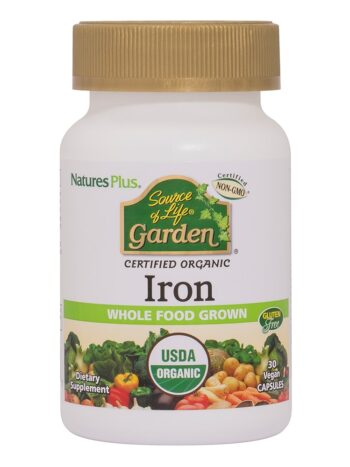 Source of Life Garden Iron