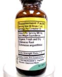 Echinacea-1oz-alc.free-1-min