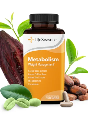 Metabolism
