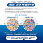 1-Vital Flora Adult 55+ Daily Probiotic