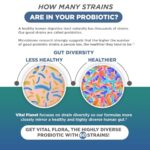 1-19114-WN_VF_SS_Men_55_Daily_60ct_08-23_Box_Bottle