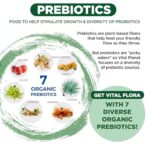 1-Vital Flora Adult 55+ Daily Probiotic