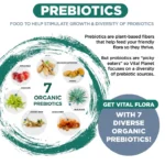 1-Vital Flora 60-60 Probiotic Ultra Daily