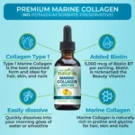 1-82ea3ea239ba0d355ae96a9ede882a1a28b99e8b3f4888ddc1a8acd05db4aaa9