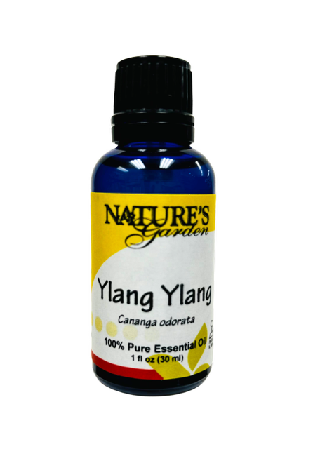 YlangFrontPNG