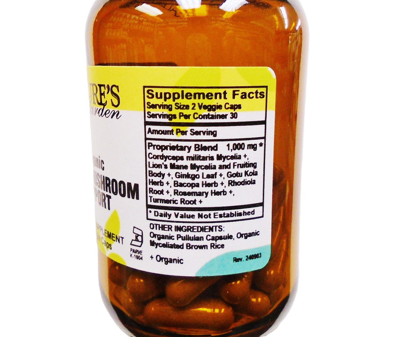 Vit-Brain-2