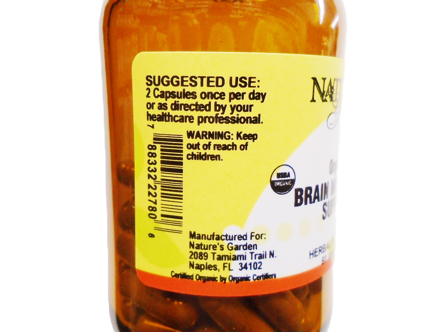 Vit-Brain-3